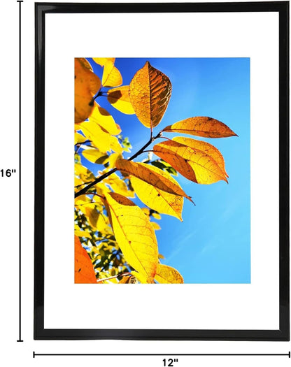 Aynoo Wood Floating Picture Frame 7x9, Table Top 8x10 7x9 6x8 Floating Frame Black Metal Modern Style Frame (PHSD),1Pack