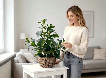 AlphaAcc Artificial Plants Decor Greenery Fake Succulents Indoor Potted Fake Plant with Rustic Black Clay Planter for Home Decor Farmhouse Room Bathroom Bedroom Kitchen Office Table Decor