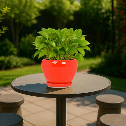 Deep Dream 6 Inch Plant Pots- Ceramic Planter Pot with Drainage Hole and Saucer, Round Flower Pot for Indoor Outdoor Succulent, Snake Plants and Cactus, Blue