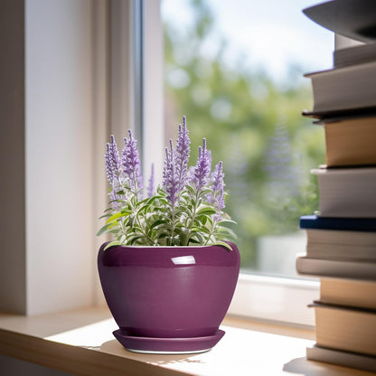 Ceramic Modern Glaze Succulent Planter Pot with Drainage Hole and Saucer 6 Inch Round Flower Plant Pot for Indoor Outdoor Herb Snake Plants