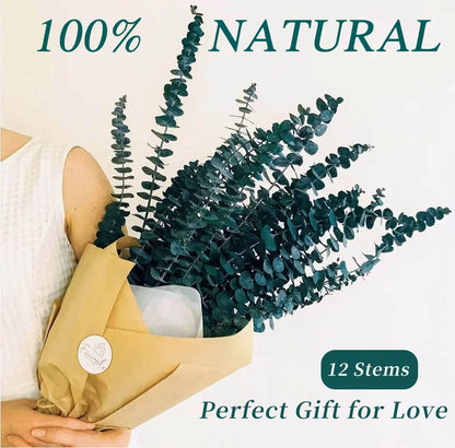 52 PCS Mix Dried Eucalyptus & Lavender Flowers Bundles for Shower, 17'' Natural Real Hanging Silver Dollar Eucalyptus Leaves Stems, Fragrance Fresh Plants Home Bathroom Decor (52pcs)