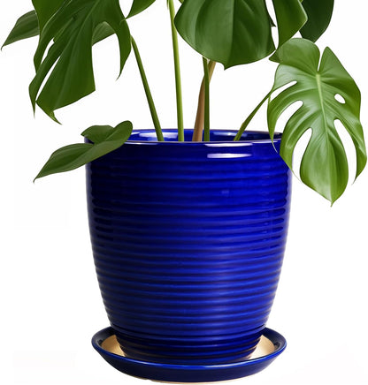 Ceramic Pots for Plants - 6 Inch Plant Pot with Drainage Hole and Saucer, Round Planters for Indoor Outdoor, Flower Pots, Modern Planter, Home Office Room Decor, Gifts for Plant Lovers, White