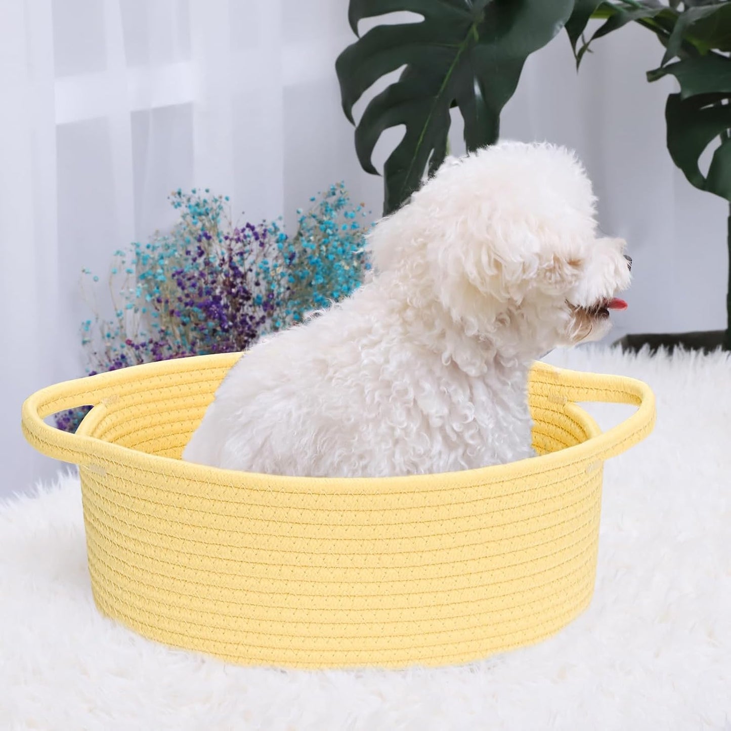 ABenkle Small Basket with Handles, Boho Decorative Rope Woven Dog Cat Toy Storage Bin Shelf Storage Organizer, Easter Christmas Gift Basket, 12"x8"x5", White