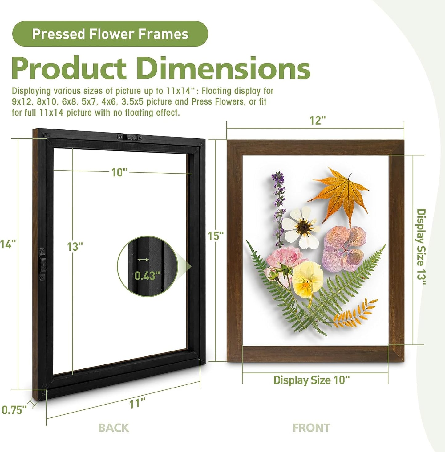 Golden State Art, 11X14 Floating Picture Frame, Black Wood Frame Display Any Size Photo Up To 11X14, Pressed Flower Frames with Hanging Hardware - Horizontal And Vertical Formats for Wall