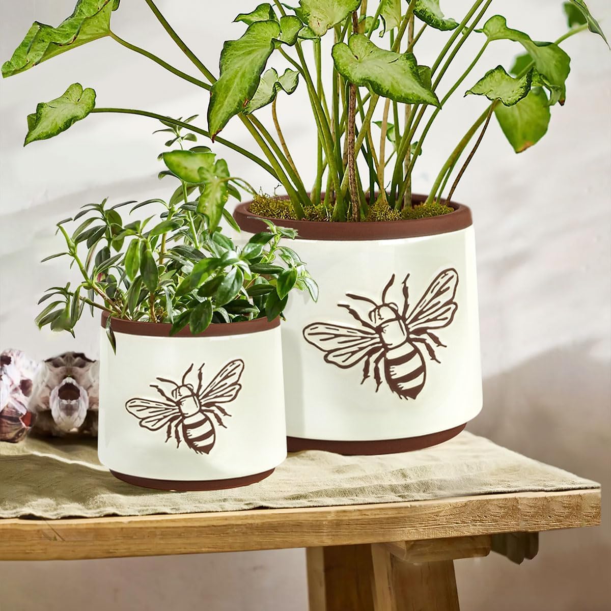 YBX 8 Inch + 6 Inch Ceramic Plant Pots, Succulent Flower Pots with Drainage Holes, Terracotta Planters for Indoor Plants, White&Terracotta (Garden)