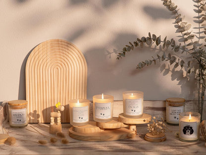 Pug Gifts & Decor, Dog Mom Gifts for Women, Dog Farts Candle, Pet Friendly Lavender Scented Candle