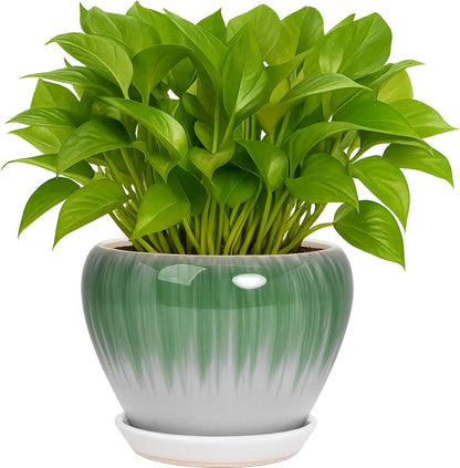 Deep Dream 6 Inch Plant Pots- Ceramic Planter Pot with Drainage Hole and Saucer, Round Flower Pot for Indoor Outdoor Succulent, Snake Plants and Cactus, Blue