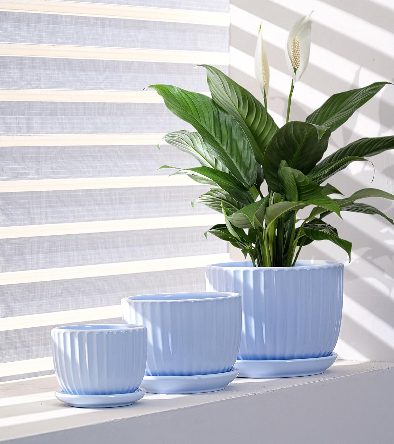 Ton Sin Pink Gold Ceramic Flower Pots, 4"+5"+6" Inch Small Glazed Succulent Planters with Drainage Hole,Modern Indoor Decorative Plant Pots Set of 3,Garden Pots with Saucer