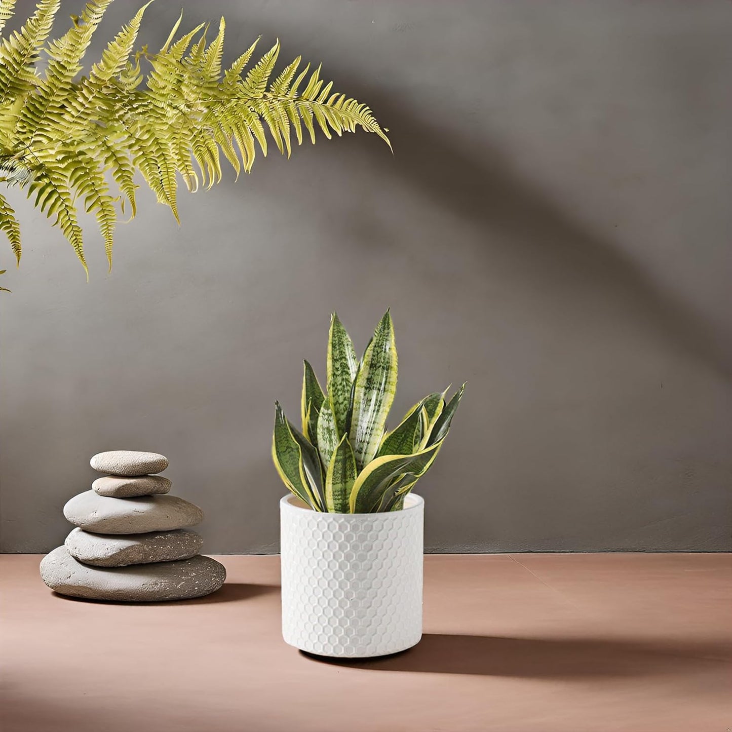 Docrin 3-Pack Ceramic Planters Set - 6.5"+5.3"+4" Dual-Tone Flower Pots with Drainage Holes, Modern Indoor Outdoor Planters for Succulents/Herbs/Large Plants, Home Office (Brownish Black & White)