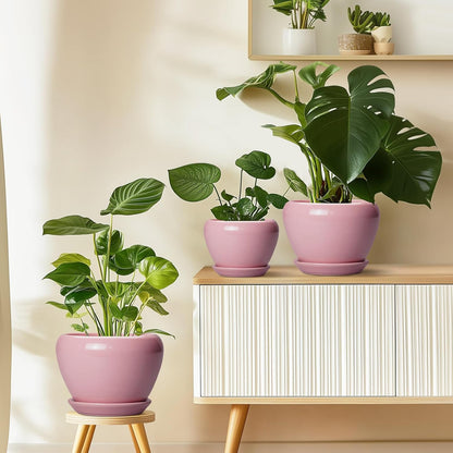 Ceramic Modern Glaze Succulent Planter Pot with Drainage Hole and Saucer 6 Inch Round Flower Plant Pot for Indoor Outdoor Herb Snake Plants