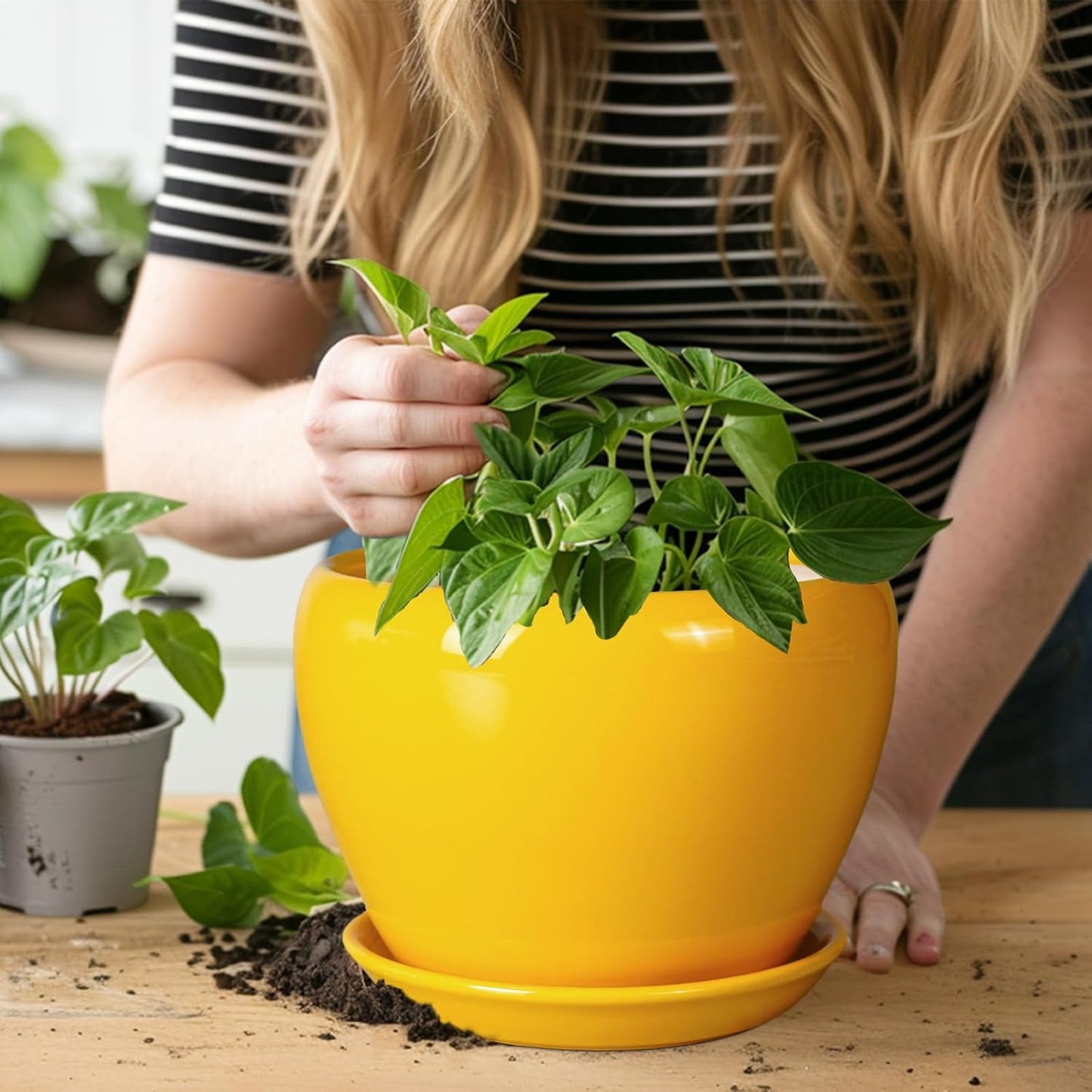 Ceramic Modern Glaze Succulent Planter Pot with Drainage Hole and Saucer 6 Inch Round Flower Plant Pot for Indoor Outdoor Herb Snake Plants