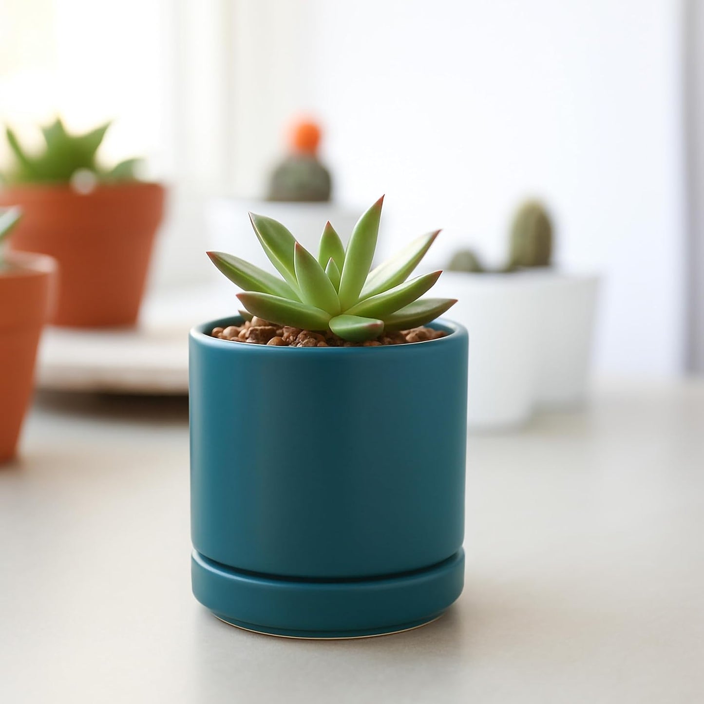 D'vine Dev Set of 2 Plants Pots, 6.5 Inch Ceramic Planter Pot for Plants with Drainage Hole and Saucer, White, 94-V-C-1