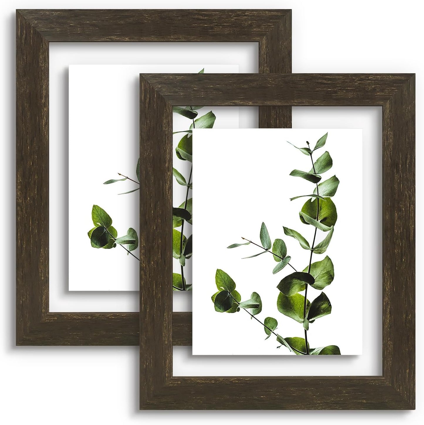 Golden State Art, 11X14 Floating Picture Frame, Black Wood Frame Display Any Size Photo Up To 11X14, Pressed Flower Frames with Hanging Hardware - Horizontal And Vertical Formats for Wall