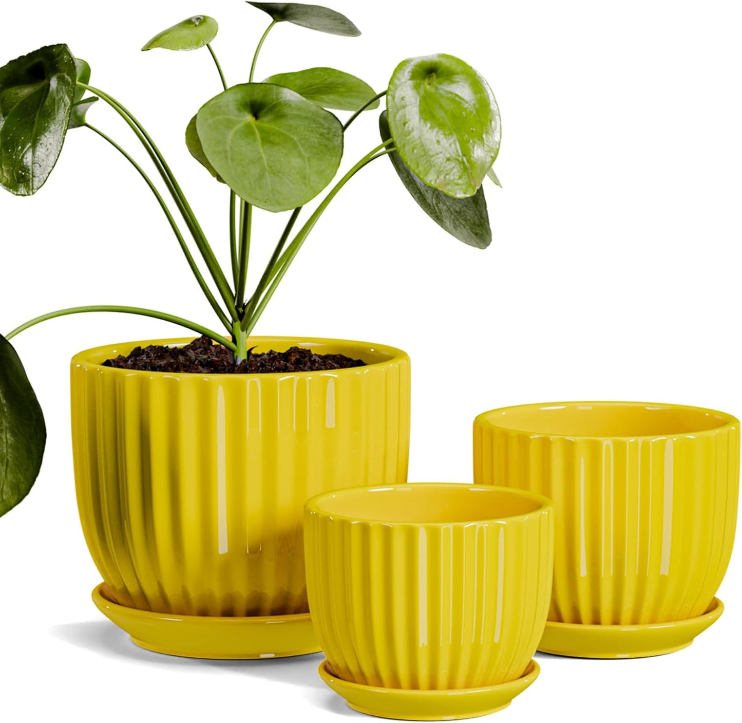 Ton Sin Pink Gold Ceramic Flower Pots, 4"+5"+6" Inch Small Glazed Succulent Planters with Drainage Hole,Modern Indoor Decorative Plant Pots Set of 3,Garden Pots with Saucer