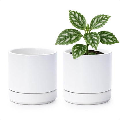 D'vine Dev Set of 2 Plants Pots, 6.5 Inch Ceramic Planter Pot for Plants with Drainage Hole and Saucer, White, 94-V-C-1