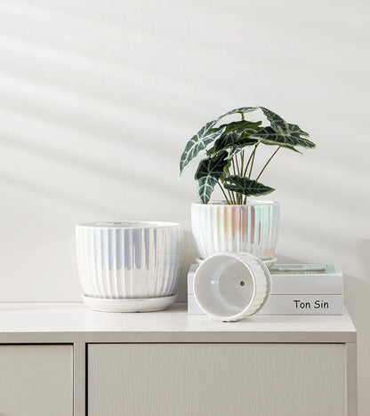 Ton Sin Pink Gold Ceramic Flower Pots, 4"+5"+6" Inch Small Glazed Succulent Planters with Drainage Hole,Modern Indoor Decorative Plant Pots Set of 3,Garden Pots with Saucer