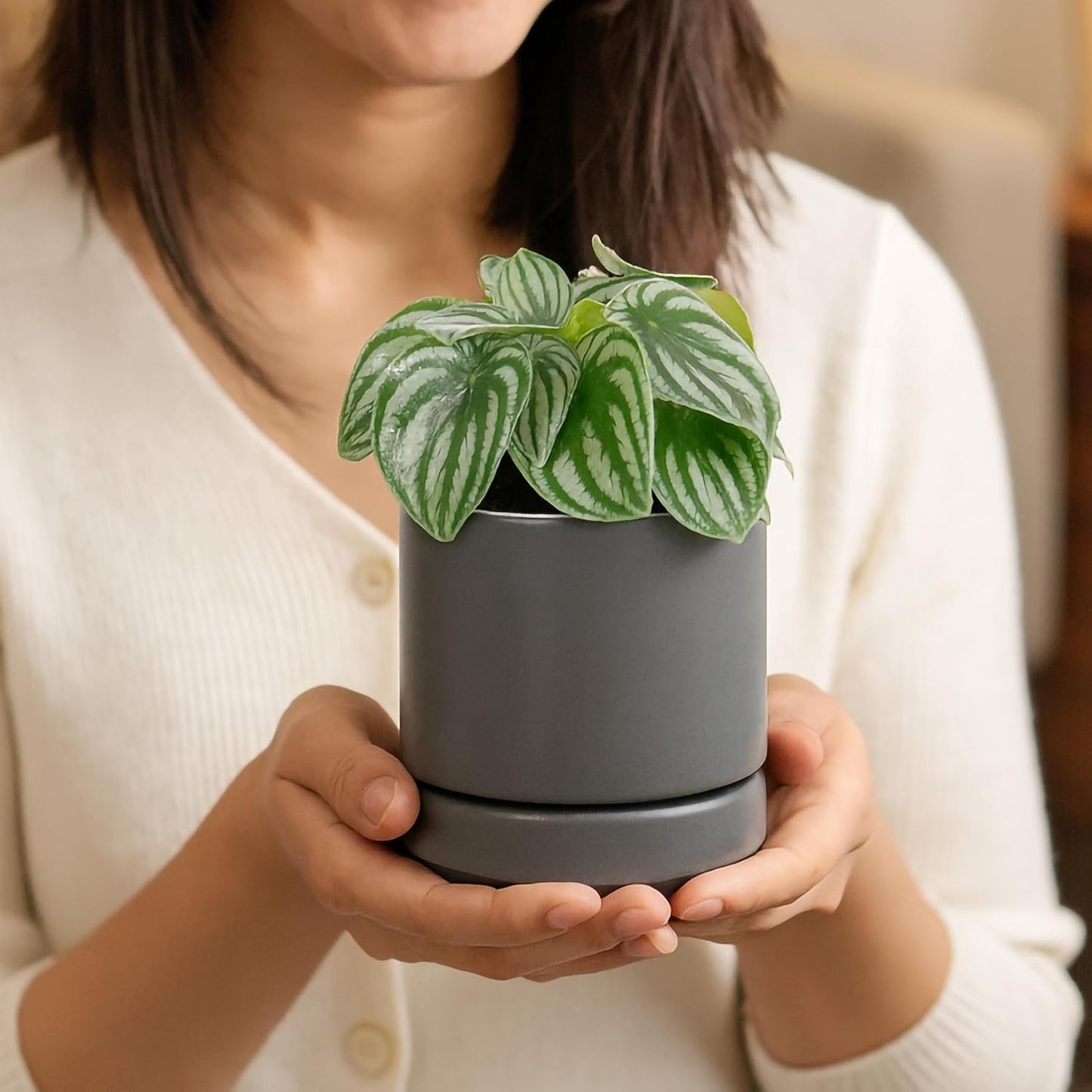 D'vine Dev 6.5 Inch Ceramic Planter Pot with Drainage Hole and Saucer, Indoor Cylinder Round Planter Pot, Olive, 94-O-C-J