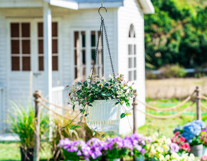 Melphoe 2 Pack Self Watering Hanging Planters Indoor Flower Pots, 6.5 Inch Outdoor Hanging Basket, Plant Hanger with 3Hooks Drainage Holes for Garden Home (Emerald)