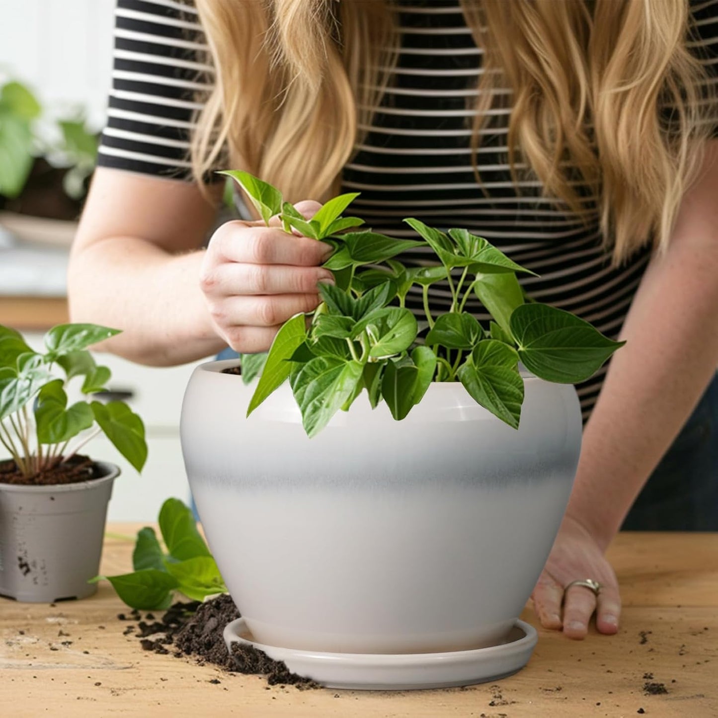 Ceramic Modern Glaze Succulent Planter Pot with Drainage Hole and Saucer 6 Inch Round Flower Plant Pot for Indoor Outdoor Herb Snake Plants