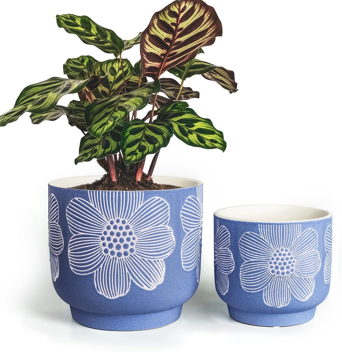 YBX 8 Inch + 6 Inch Ceramic Plant Pots, Succulent Flower Pots with Drainage Holes, Terracotta Planters for Indoor Plants, White&Terracotta (Garden)
