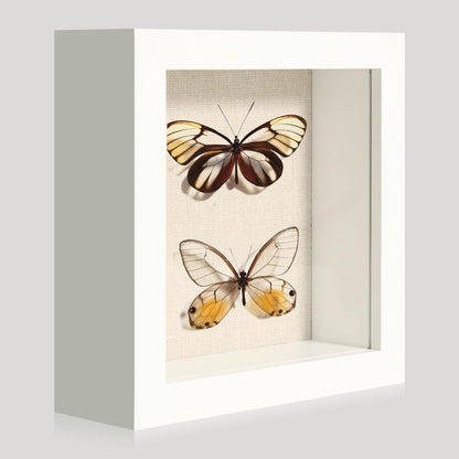 12x16 Large Shadow Box Picture Frame Display Case with Soft Linen Back, White Wooden Memory Shadow Box Frame with Tempered Glass Cover for Wall Display