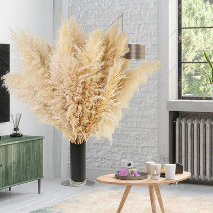65PCS Pampas Grass Decor, Including pompas Floral, Reed Dried Grass and Bunny Tails Dried Flowers, Natural Dried Pampas Grass Bouquet for Boho Decor Wedding, Home Decoration