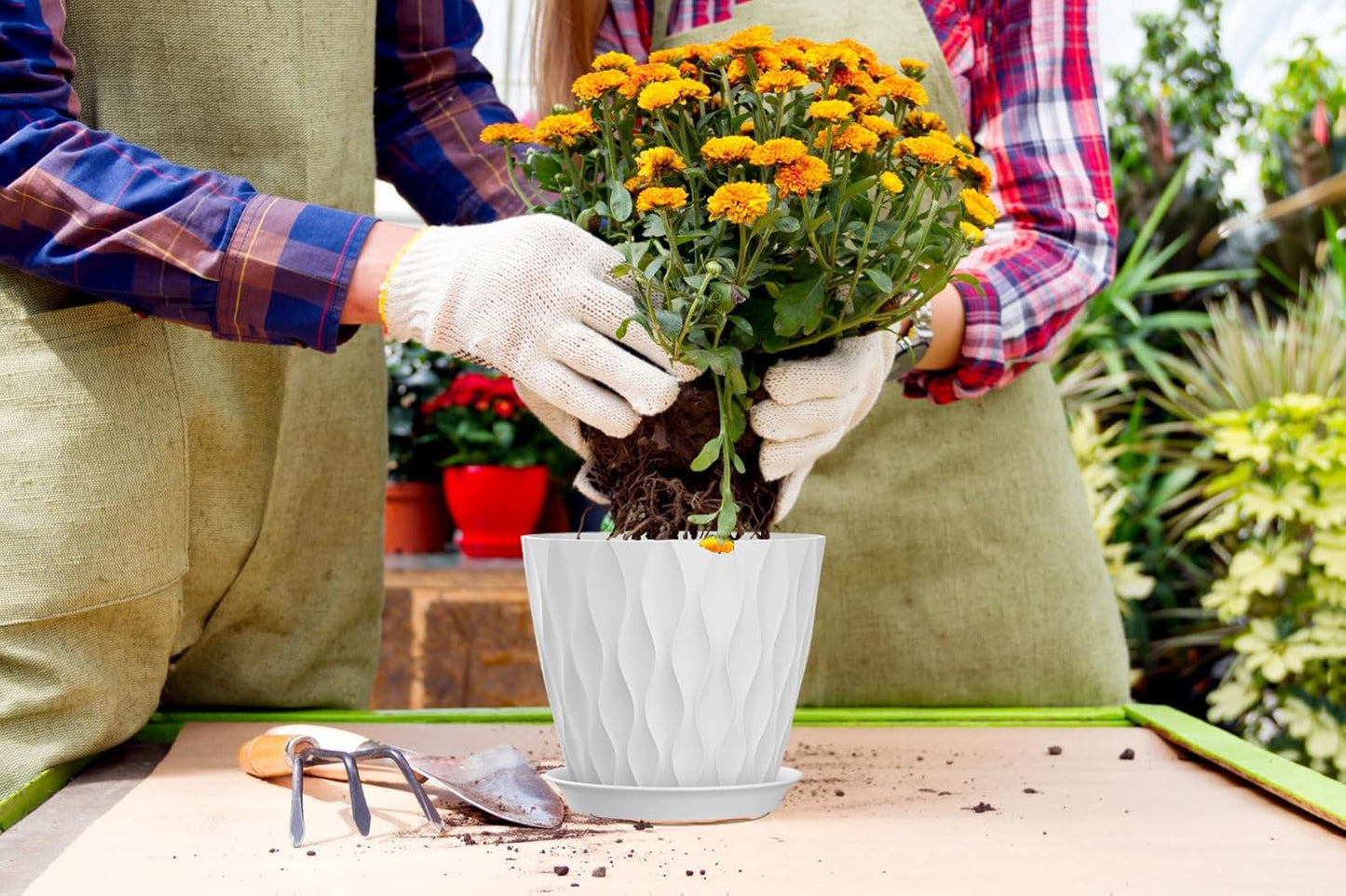4 Inch Plant Pots, 6 Pack Indoor Flower Pots, Planters with Drainage Holes and Trays for Orchids, Violets, Succulents, Herbs, and Other Plants,Corolful