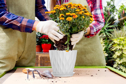 4 Inch Plant Pots, 6 Pack Indoor Flower Pots, Planters with Drainage Holes and Trays for Orchids, Violets, Succulents, Herbs, and Other Plants,Corolful