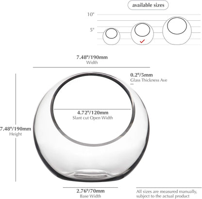WGVI Clear Slant Cut Bowl Glass Vase, Glass Terrarium, Candy Dish, Glassware, Slant Open: 7". Height: 6" x 2.7". Base: 4" (1 Piece)