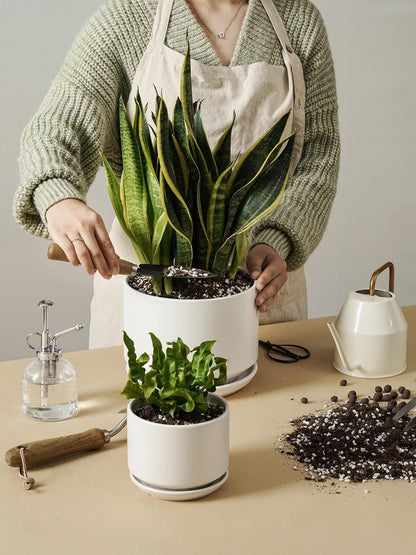 LE TAUCI Ceramic Pots for Plants, 6.8 Inch Plant Pots with Drainage Hole & Saucer, Modern Planter for Indoor Plants, Stable & Durable, Perfect for Living Room or Office Decor, White