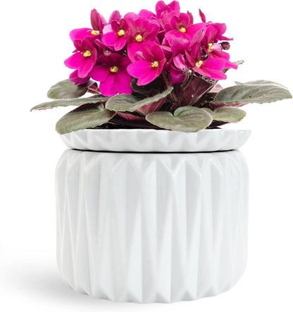6 Inch African Violet Pots Self Watering, Ceramic Planter with Water Reservoir and Fill Lines, 4 Inch Opening, Indoor Flower Pot, Holds 3 Weeks of Water (2 Pack White)