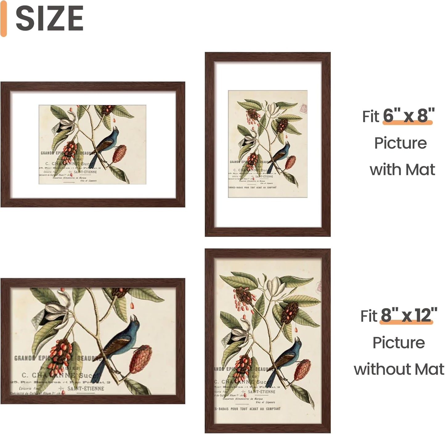upsimples 8x10 Picture Frame, Display Pictures 5x7 with Mat or 8x10 Without Mat, Wall Hanging Photo Frame, Black, 1 Pack - Colors A