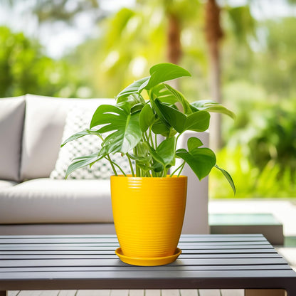 Ceramic Pots for Plants - 6 Inch Plant Pot with Drainage Hole and Saucer, Round Planters for Indoor Outdoor, Flower Pots, Modern Planter, Home Office Room Decor, Gifts for Plant Lovers, White