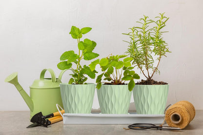 4 Inch Plant Pots, 6 Pack Indoor Flower Pots, Planters with Drainage Holes and Trays for Orchids, Violets, Succulents, Herbs, and Other Plants,Corolful