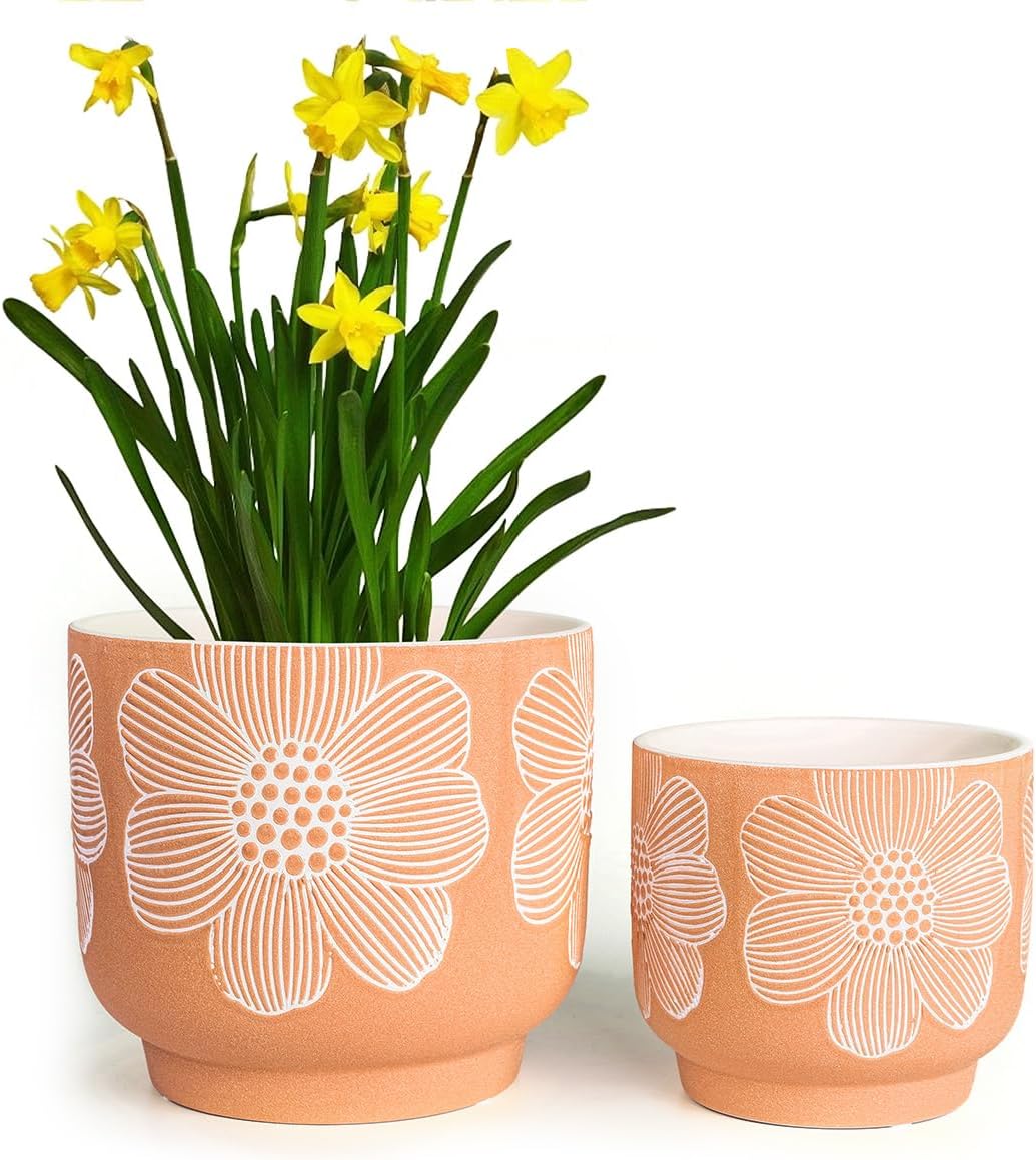 YBX 8 Inch + 6 Inch Ceramic Plant Pots, Succulent Flower Pots with Drainage Holes, Terracotta Planters for Indoor Plants, White&Terracotta (Garden)