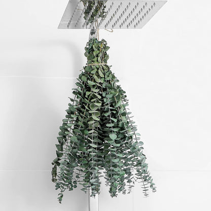 10 Pcs Dried Eucalyptus Stems 17" Real Eucalyptus for Shower Hanging 100% Made from Fresh Leaves, Wedding, Home, Farmhouse, DIY Spring Decor Bathroom Decor Home Decor