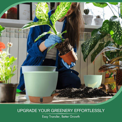 montresor 12/10/8 Inch Self Watering Pots for Indoor Plants Plastic Large Plant Pots for Outdoor Plants, Water Level Window & Spacious Reservoir Flower Pots Decorative Planter with Drainage and Tray