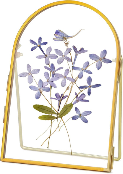 REDHUGO Double Glass Frame for Pressed Flowers Handmade, Metal Floating Picture Frame for Pressed Flower, Tabletop Display, Brass, ArcShaped, Black, 4x6 inches (FRAME ONLY)