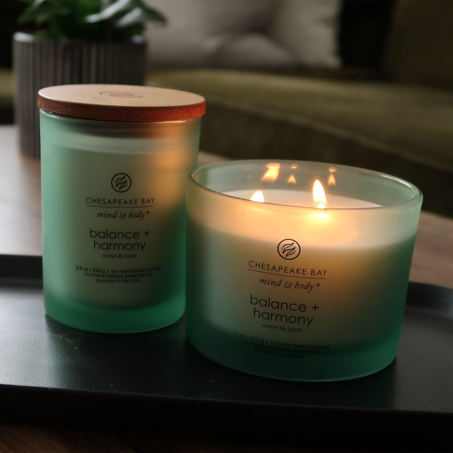 Chesapeake Bay Candle PT40886 Scented Candle Awaken + Invigorate (Lemongrass Eucalyptus) Medium Green Home Décor