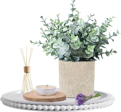 2 Pack Fake Plants Eucalyptus Small Potted Artificial Plants Indoor Greenery for Shelf Desk Home Bathroom Modern Farmhouse Living Room Coffee Table Decor