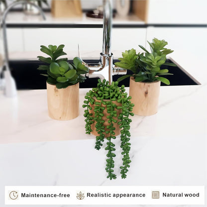 Artificial Succulents with Pots - Set of 3 Small Fake Plants for Aesthetic Room Decor - Realistic Mini Faux Greenery for Office Desk, Bookshelf, and Bathroom - Modern Home Accents