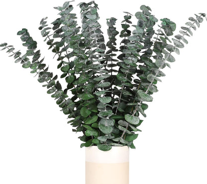 Real Eucalyptus Stems 20PCS Dried Preserved Fresh Eucalyptus Silver Dollar Leaves for Shower - Greenery Branches for Wedding Home Party Vase Filler Spring Decor