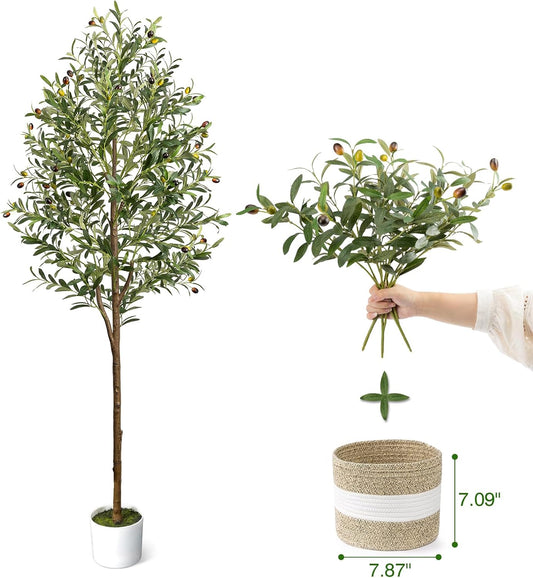 6FT Artificial Olive Tree - Indoor Tall Faux Olive Trees with Planter&Basket, Large Fake Olive Silk Tree Realistic Olive Plants with Branches and Fruits for Home Decor Office Living Room
