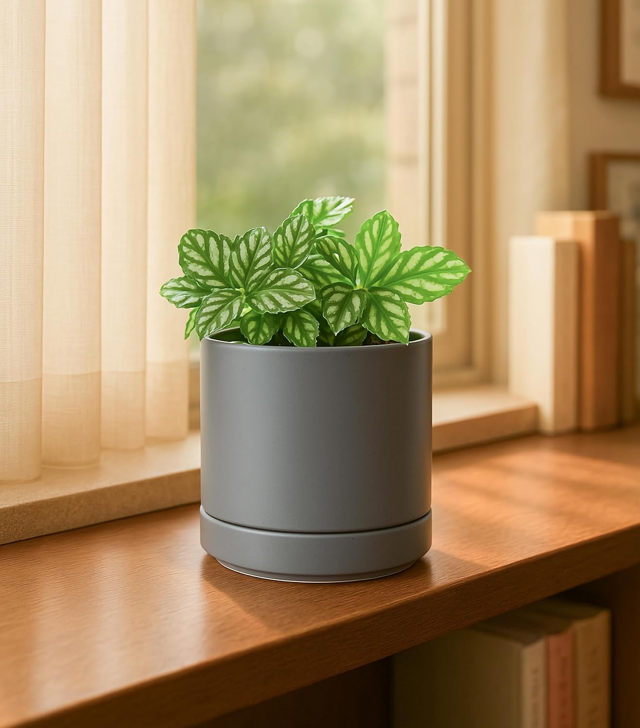 D'vine Dev 6.5 Inch Ceramic Planter Pot with Drainage Hole and Saucer, Indoor Cylinder Round Planter Pot, Olive, 94-O-C-J