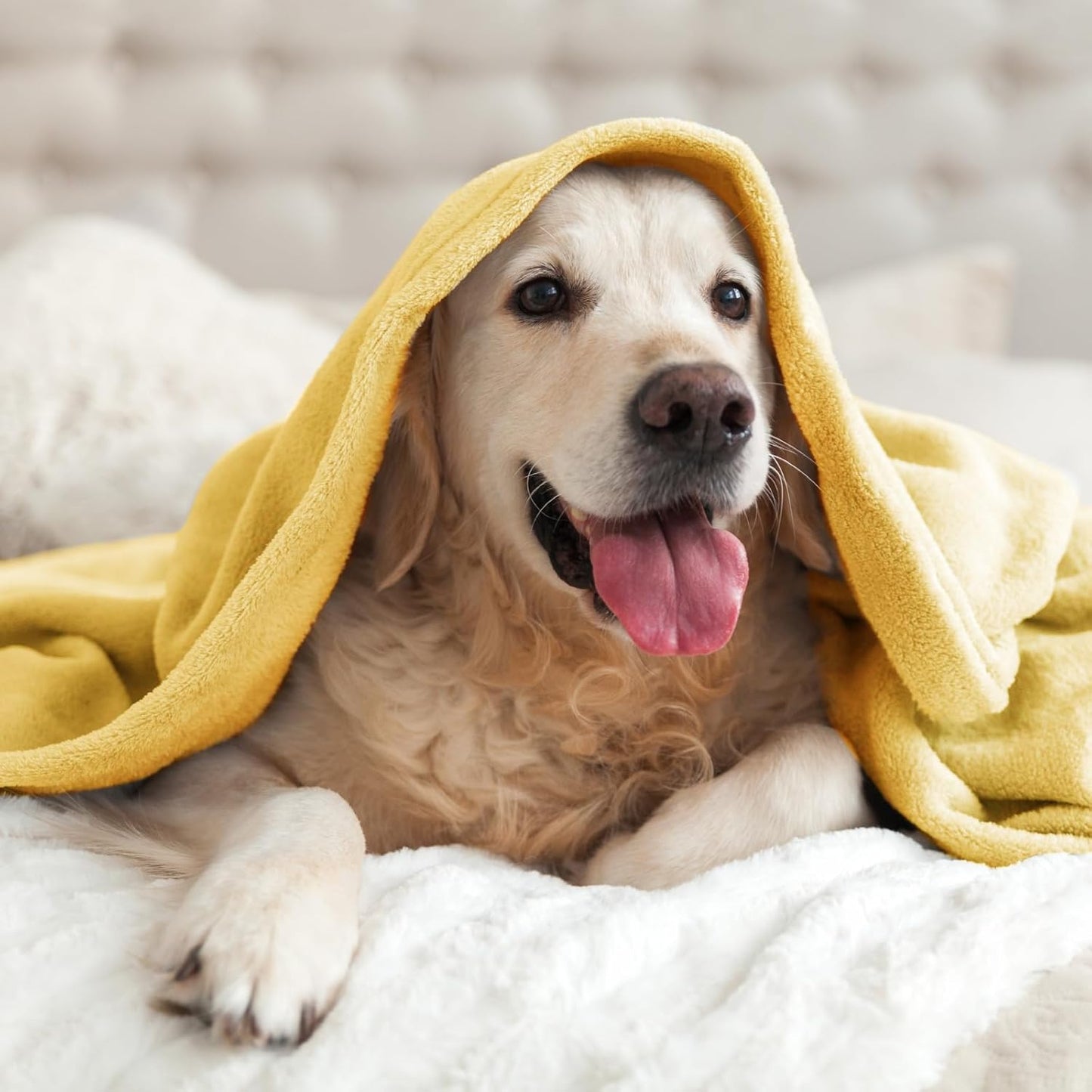 BEDELITE Fleece Blanket Black Throw Blankets for Couch & Bed, Luxury Plush Cozy Fuzzy Blanket 50x60 inches, Super Soft Warm Lightweight Throw Blanket for Travel Camping - Colors A