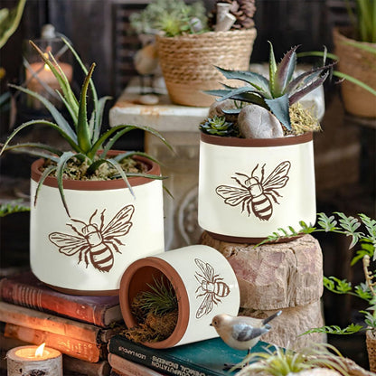 YBX 8 Inch + 6 Inch Ceramic Plant Pots, Succulent Flower Pots with Drainage Holes, Terracotta Planters for Indoor Plants, White&Terracotta (Garden)