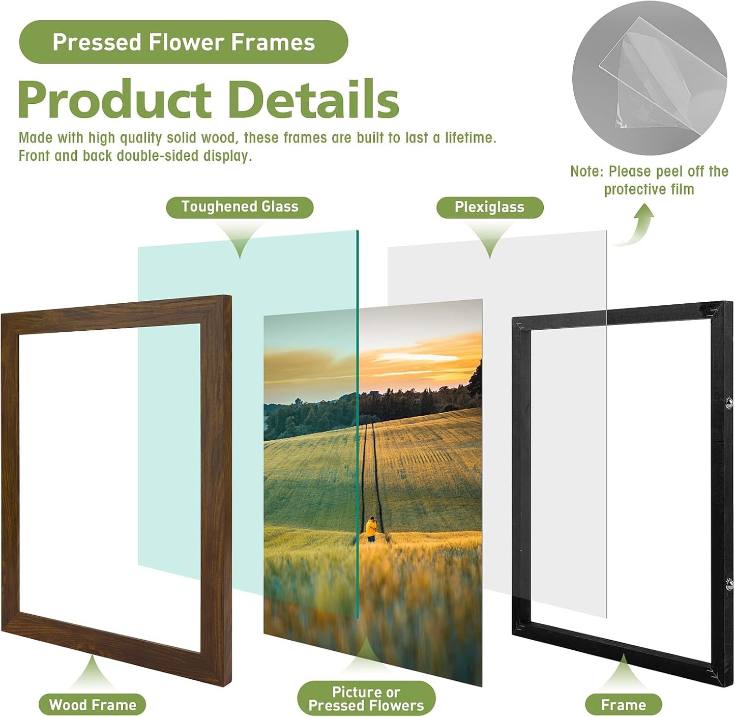 Golden State Art, 11X14 Floating Picture Frame, Black Wood Frame Display Any Size Photo Up To 11X14, Pressed Flower Frames with Hanging Hardware - Horizontal And Vertical Formats for Wall