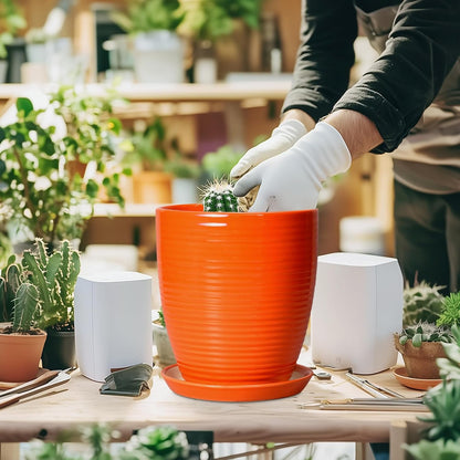Ceramic Pots for Plants - 6 Inch Plant Pot with Drainage Hole and Saucer, Round Planters for Indoor Outdoor, Flower Pots, Modern Planter, Home Office Room Decor, Gifts for Plant Lovers, White