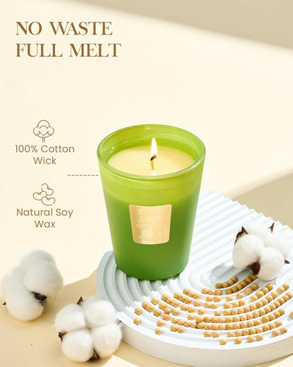 M&SENSE Jasmine Candles Highly Scented 3 Wick 35oz 150 Hours Burn Extra Large Jar Candles for Women, Natural Soy Wax Aromatherapy Candle for Stress Relief, Meditation, Yoga, Spa - Colors B