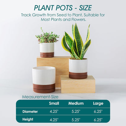 vancasso Ceramic Plant Pots, 3 Piece Planters for Indoor Plants, 4.25+5.25+6.25 Inch Flower Pots with Drainage, Plant Pots Indoor for Succulent, Pothos, Snake Plant and Money Tree, Etc (White)